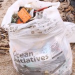 oceaninitiatives picture